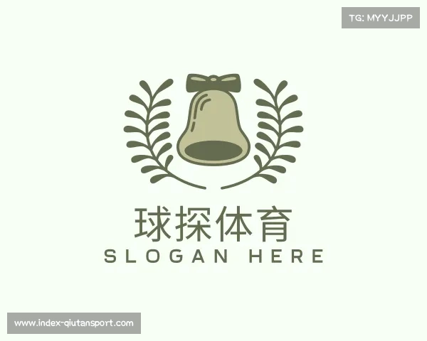介绍球探体育